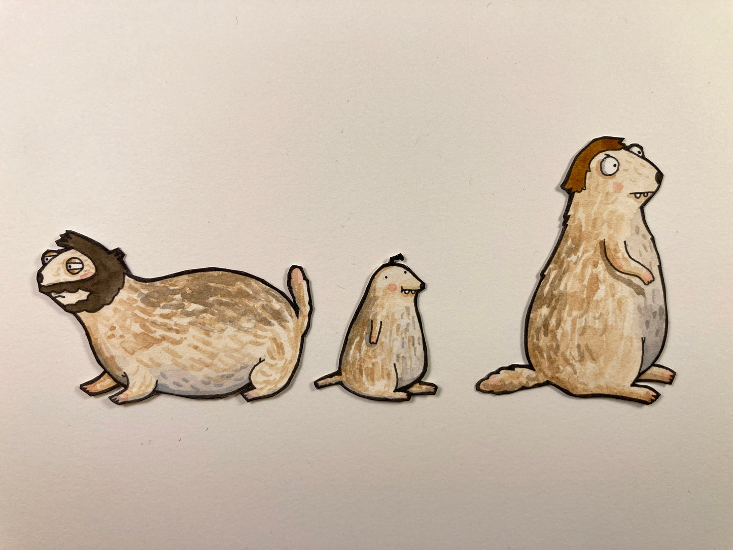 Prairie Dogs
