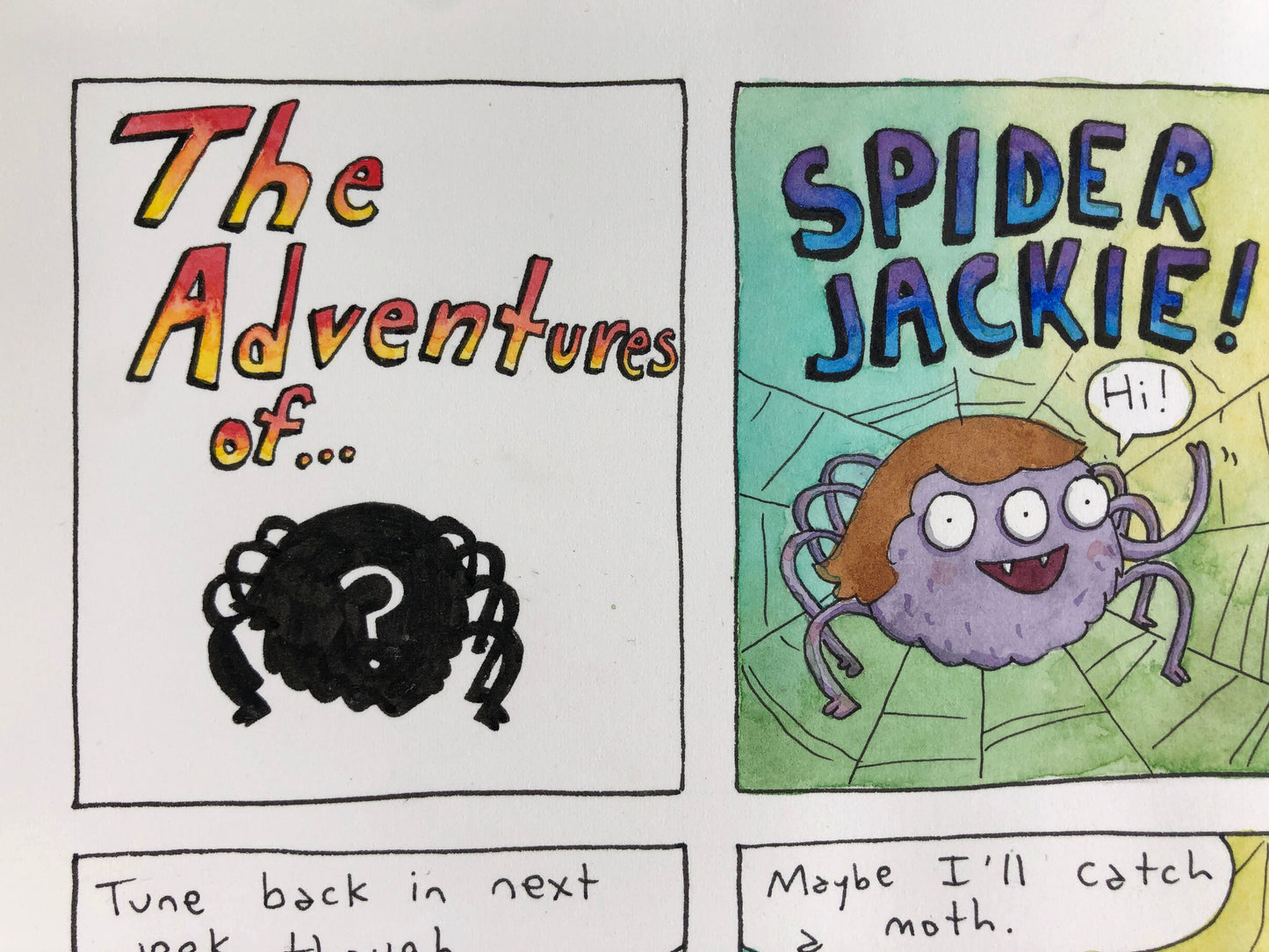 Spider Jackie